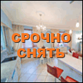 ����� / ����� ��������