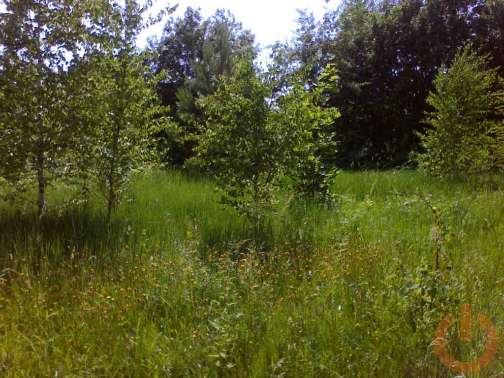 Купить  участок