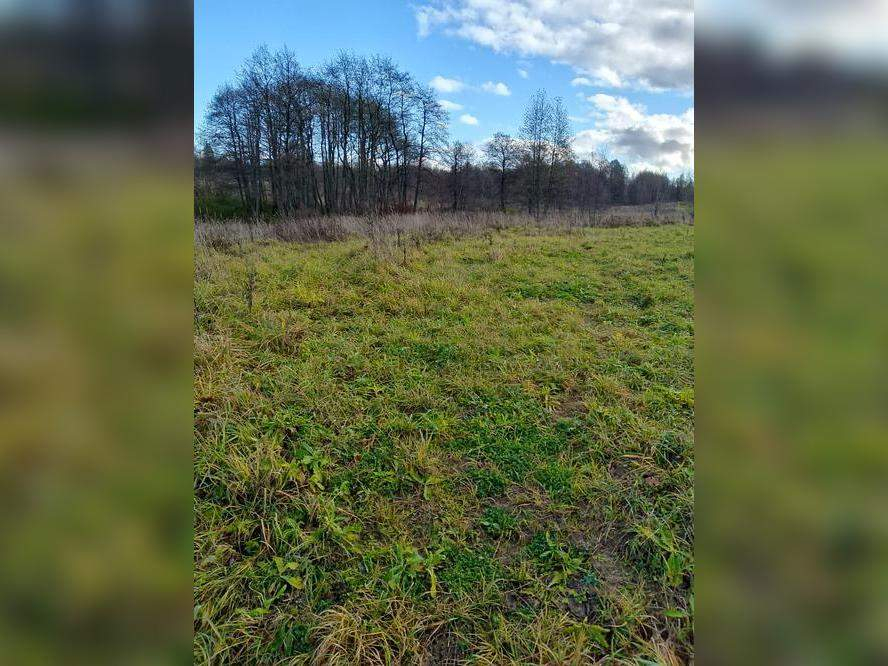 Купить  участок