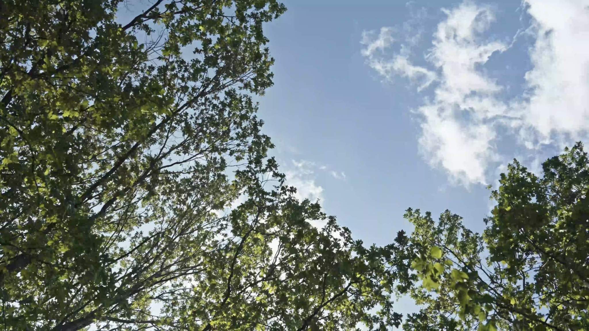 Купить  машиноместо