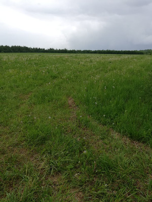 Купить  участок