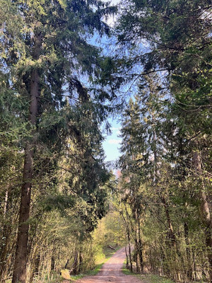 Купить  участок