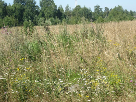 Купить  участок