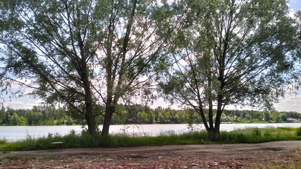 Купить  участок