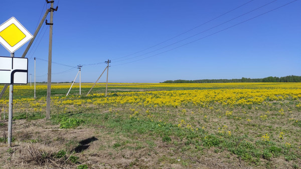 Купить  участок