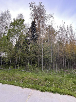 Купить  участок