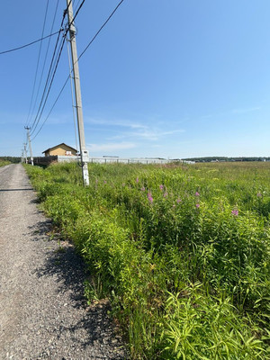 Купить  участок