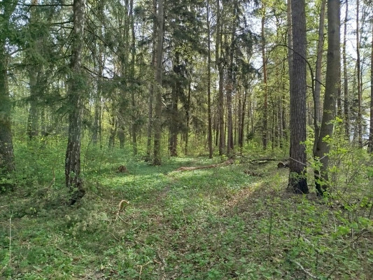 Купить  участок