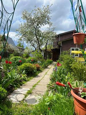 Купить  дом