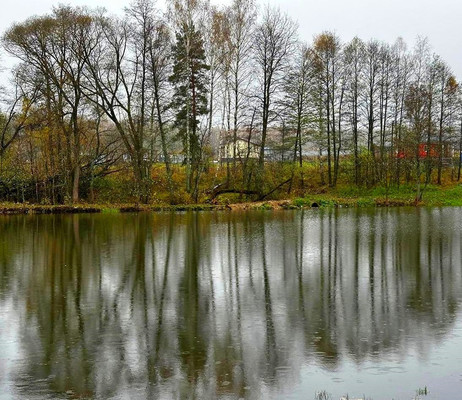 Купить  дом