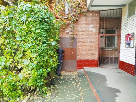 Снять  помещение свободного назначения