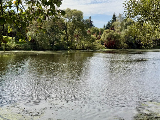 Купить  участок