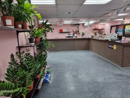 Снять  помещение свободного назначения