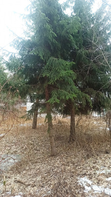 Купить  участок