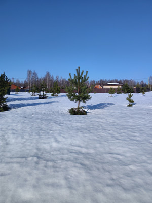 Купить  участок