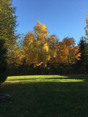 Купить  дом