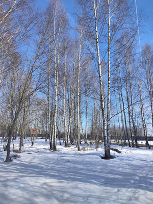 Купить  участок