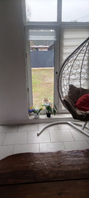 Купить  дом