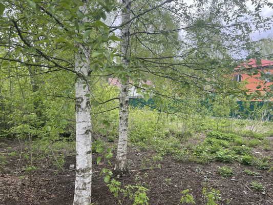 Купить  участок