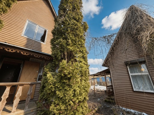 Купить  дом