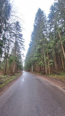 Купить  дом