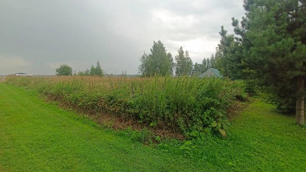 Купить  участок
