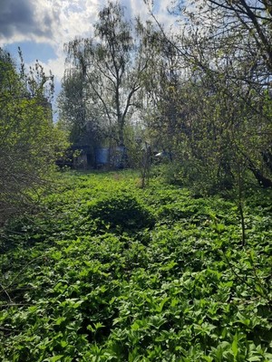 Купить  участок