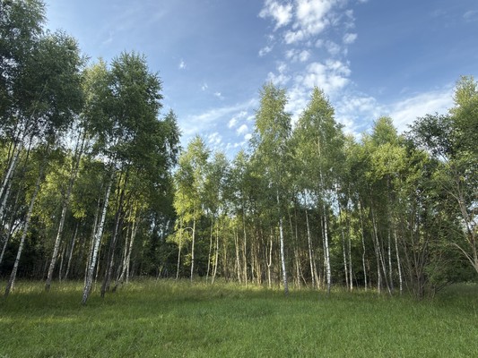 Купить  участок