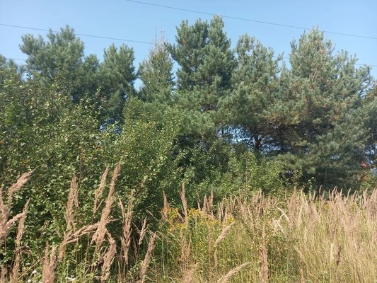 Купить  участок