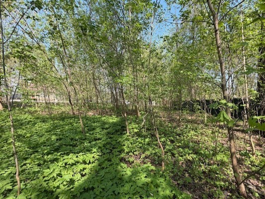 Купить  участок