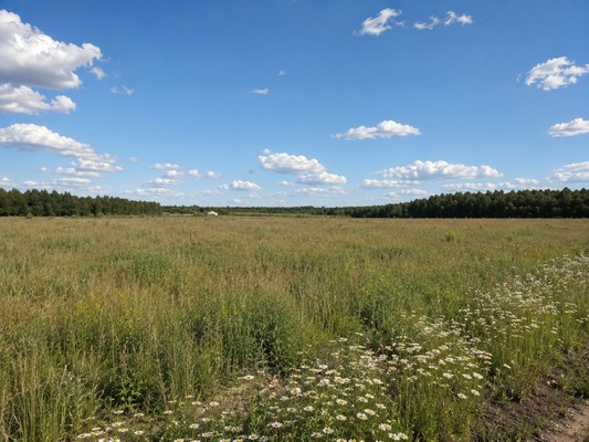 Купить  участок