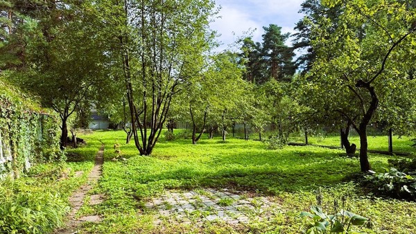 Купить  участок