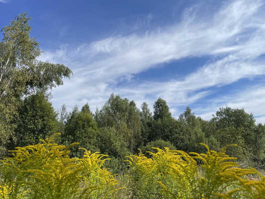 Купить  участок