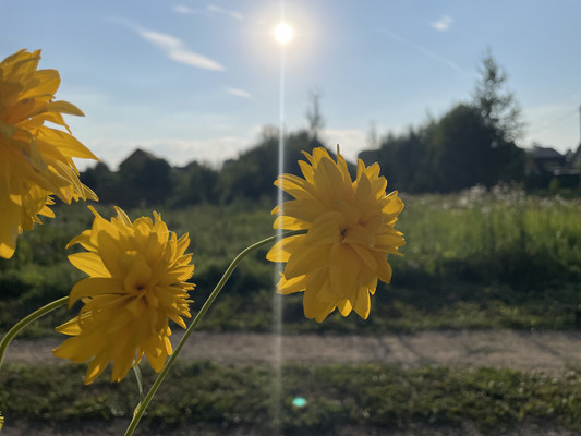 Купить  участок